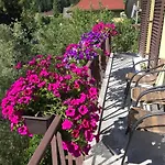 Haus Heincz Apartment