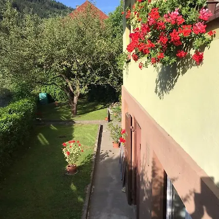 Apartment Haus Heincz