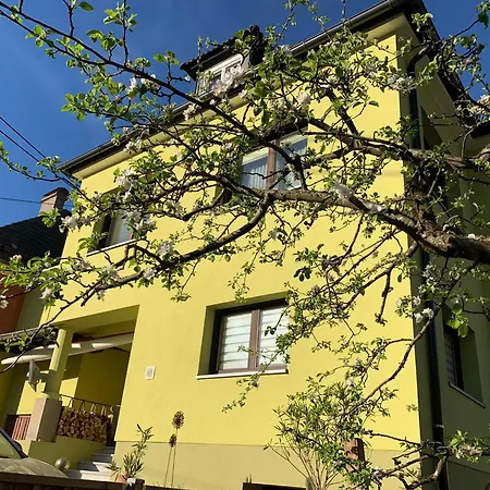 Haus Heincz شقة